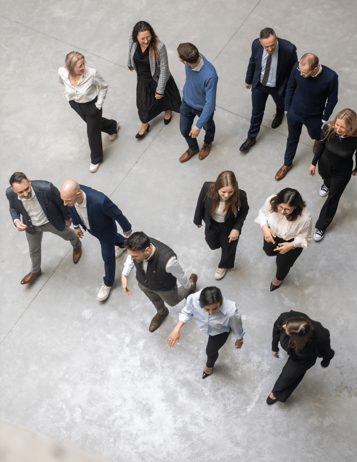 De advocaat als systeemdenker 6