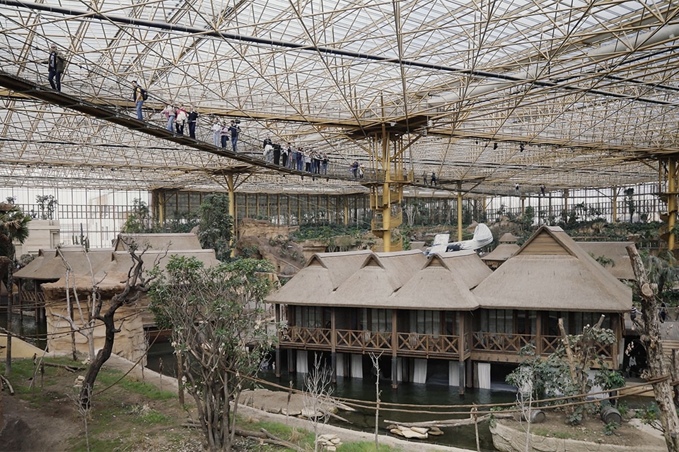 Legrand & Pairi Daiza: wanneer technologie opgaat in de natuur. 1